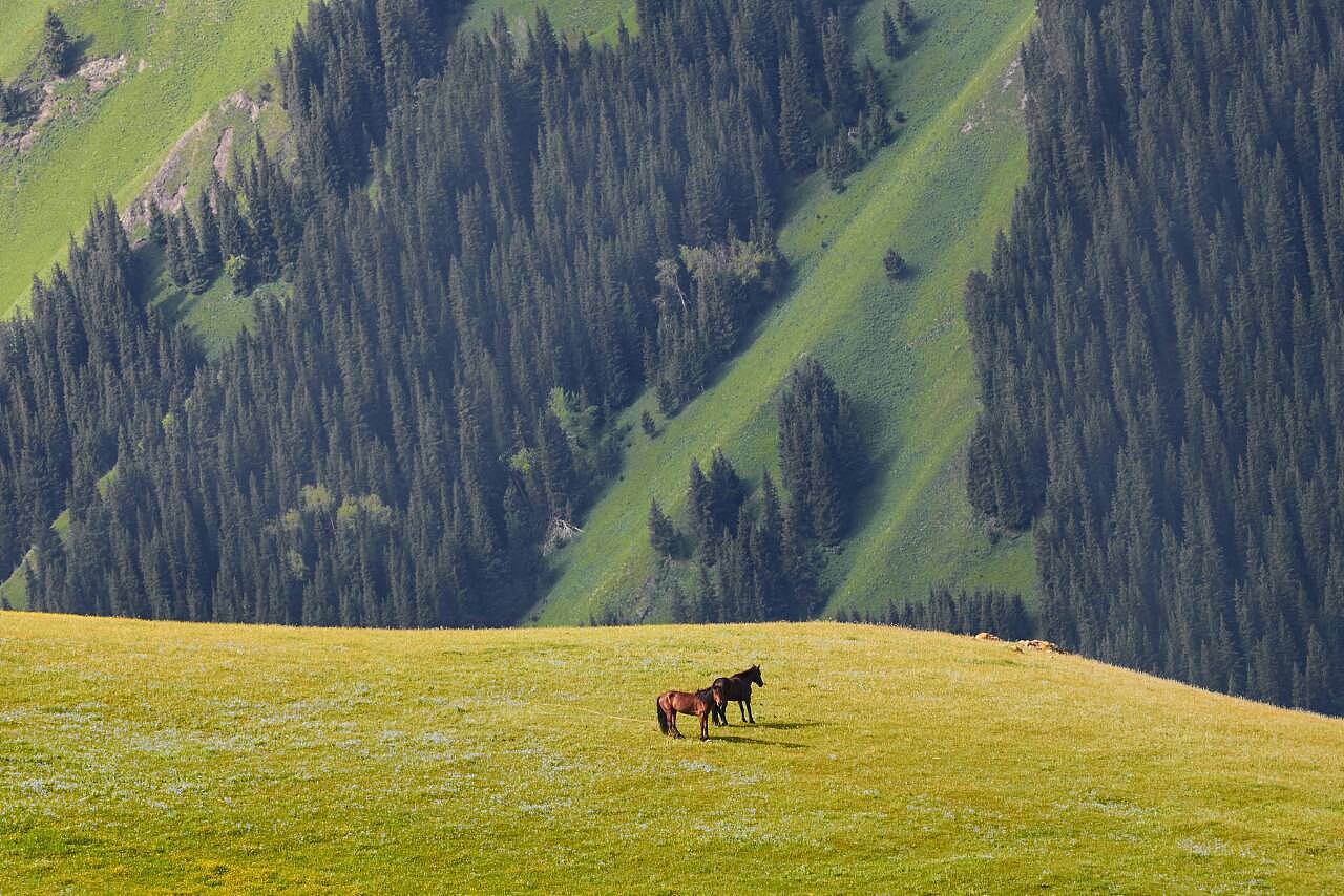 新疆巷弄中的隐秘美食之旅