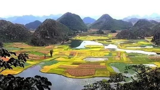 彩云南韵·民族风情舞台画卷